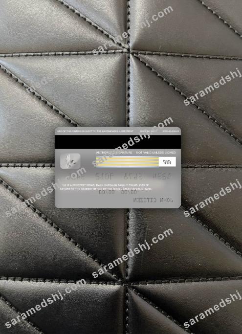 Israel Bank Hapoalim bank visa platinum card photolook back